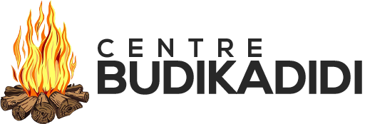 Logo Centre Budikadidi